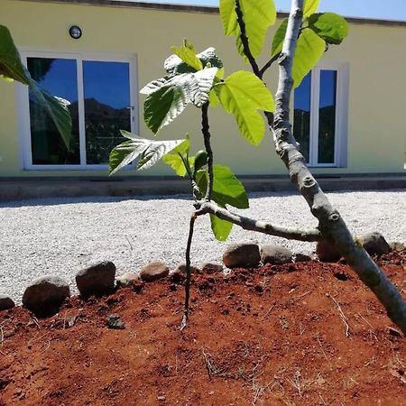 Villa La Casa Dei Fichi Porto Azzurro Exterior foto